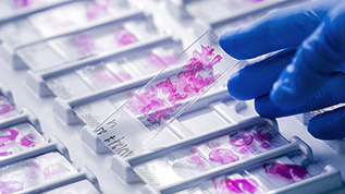 RheoCat cationic coatings and adhesive slides
